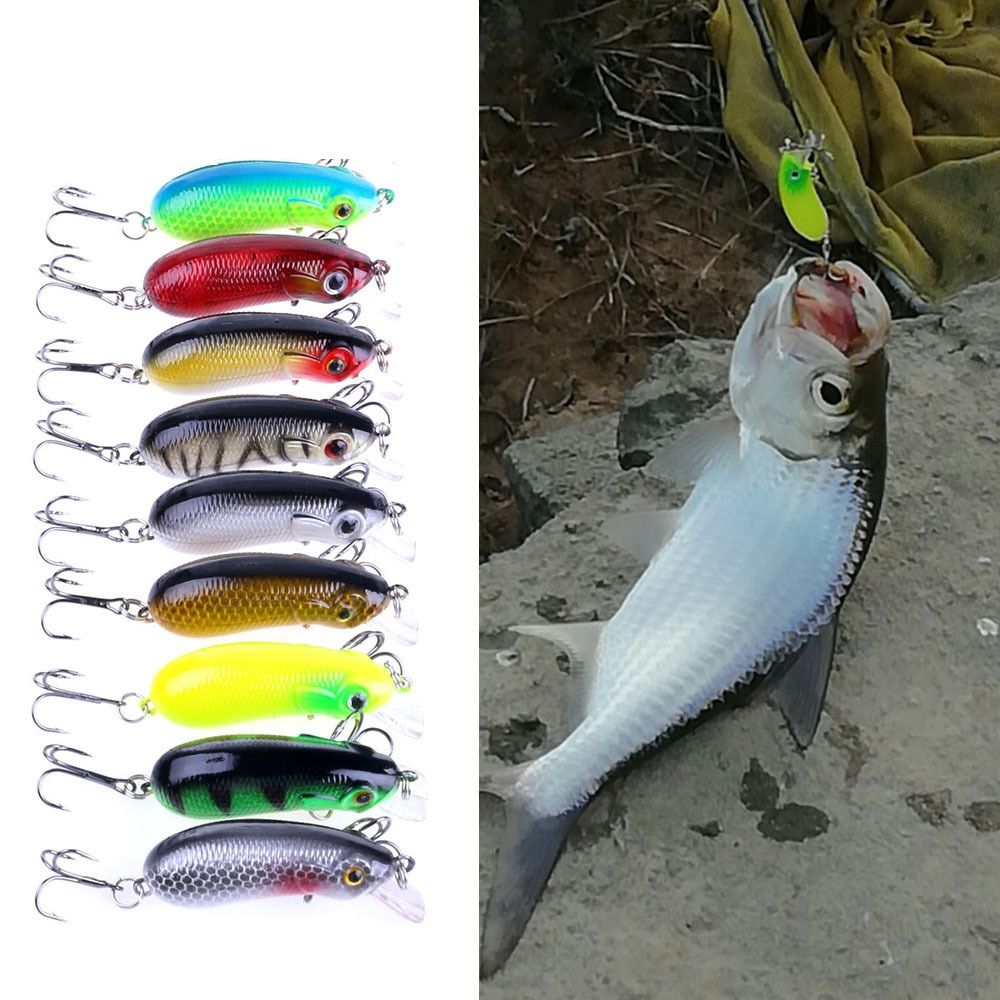 Nine crankbaits in different colours beside a photo of a caught fish
